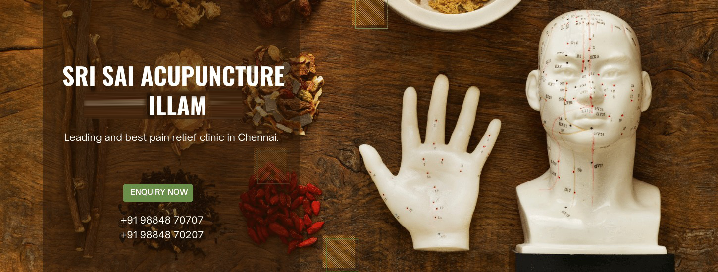 Sri Sai Acupuncture Illam in Nandanam Chennai